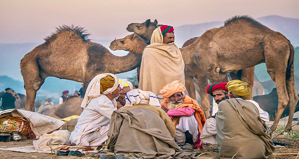 ¿Por qué se celebra Feria del Camello de Pushkar?