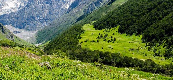 Valle de las Flores - Uttarakhand