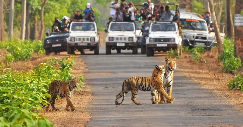 Parque Nacional de Jim Corbett