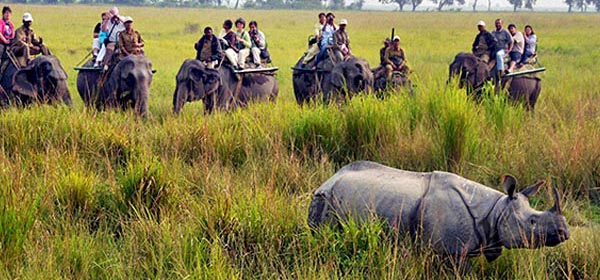 Parque Nacional de Kaziranga - Assam