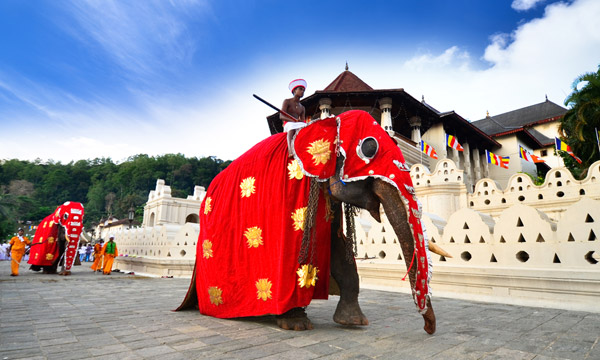 Vacaciones en India y Sri Lanka