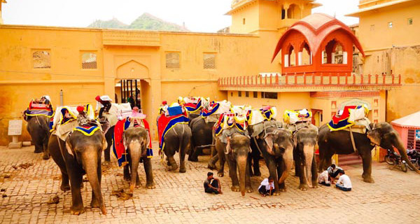 Tour de Orgullo de Lujo Rajasthan