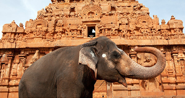 Vacaciones en el sur de la India