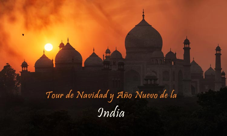 6 días Tour de Navidad y Año Nuevo de la India