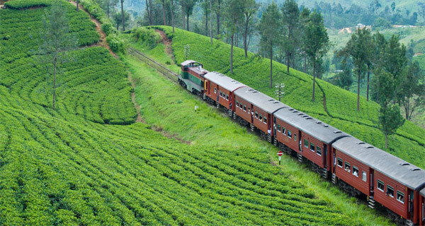 Viaje en tren del sur de la India desde Mumbai